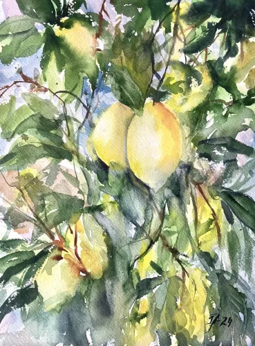 MondiLab Citroner  80x120 cm (106137)