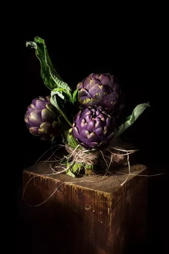MondiLab Ninfa Cynara  80x120 cm (106139)