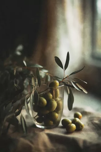 Olivestilllifeno 80x120 cm