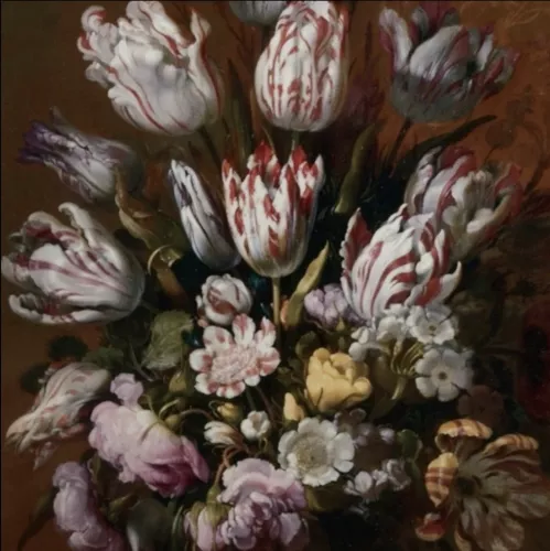 Wild tulips  100x100 cm 