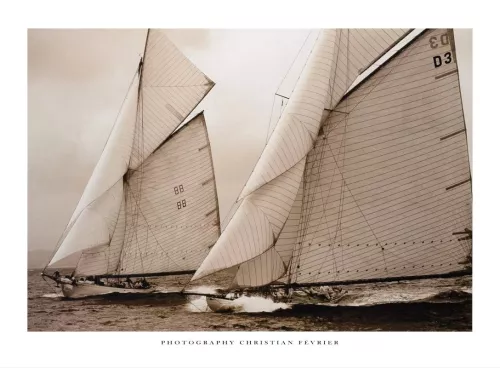 Sailing 80x120 cm