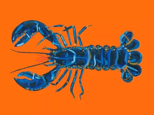 MondiLab Lobstermania  80x120 cm (106678)