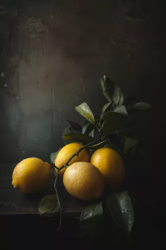 Lemon still  120x180 cm