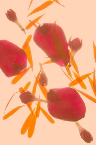 MondiLab Leaves in love  120x180 cm (106928)