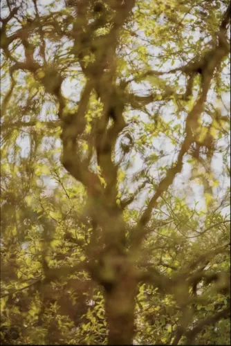 The wonders of life are already here  120x180 cm