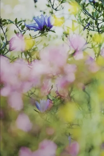 MondiLab About beauty and solace  120x180 cm (106991)