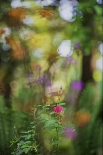 MondiLab Heaven kissing the earth  80x120 cm (106994)