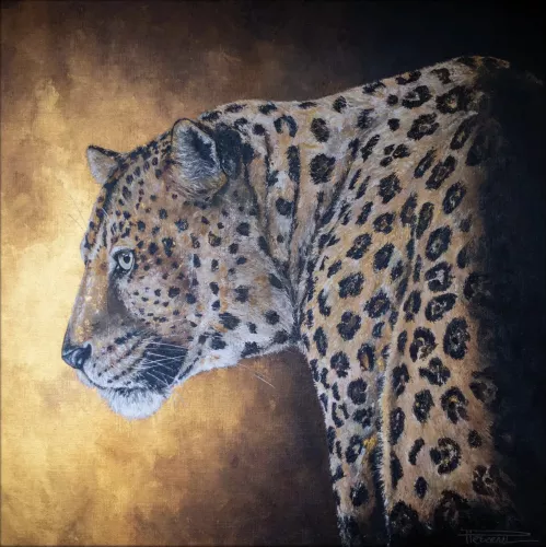 Rising Sun  80x80 cm