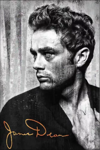 James Signature  80x120 cm