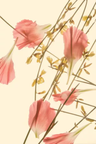 Rain of flower leaves  80x120 cm