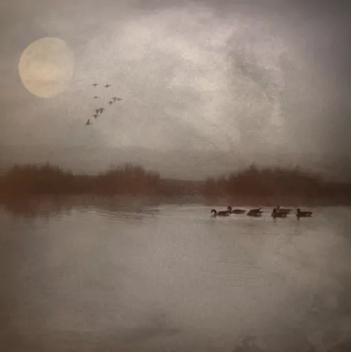 Evening Glow  100x100 cm