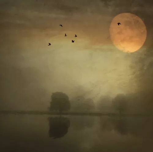 Moonlight dreams  100x100 cm