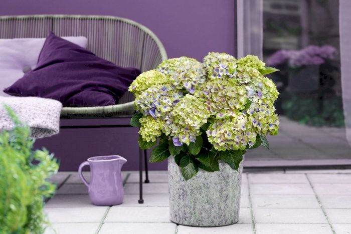 image...